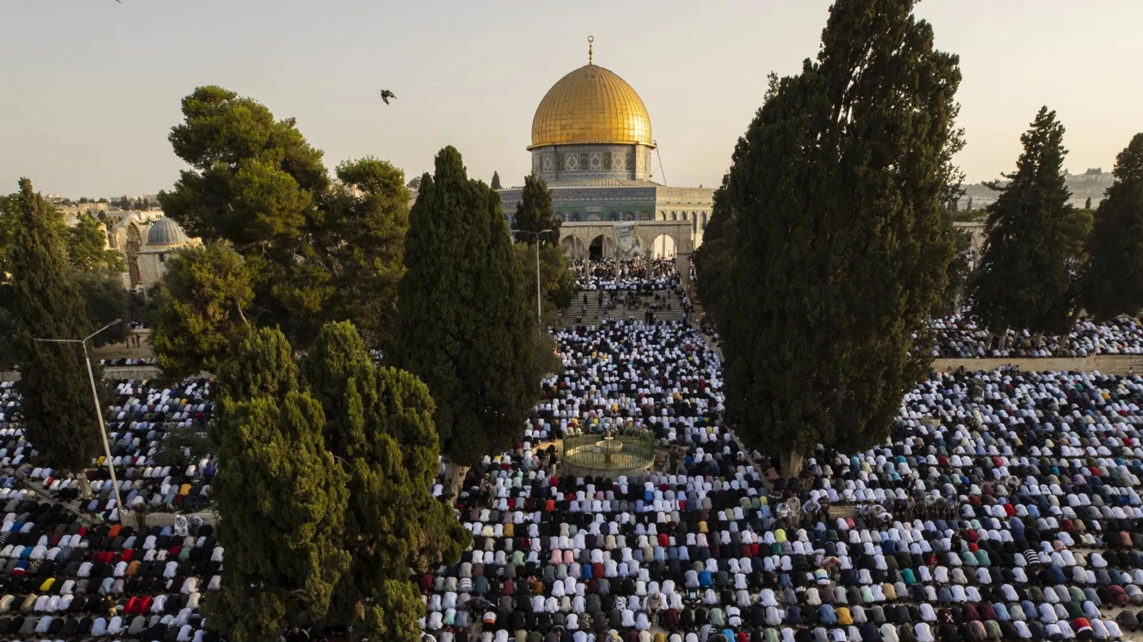عشرات الآلاف يؤدون صلاة الجمعة في الأقصى.. و11,409 مستوطنين يقتحمون المسجد خلال موسم الأعياد